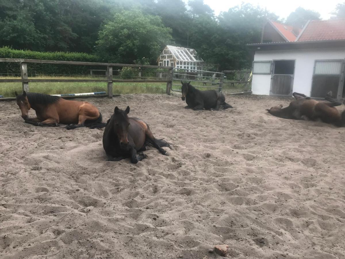Apartmán Alter Bahnhof Otersen Kirchlinteln Exteriér fotografie