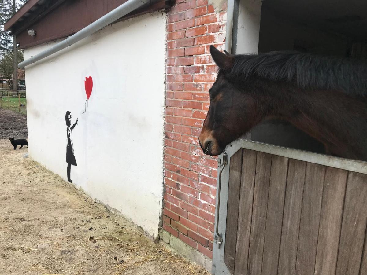 Apartmán Alter Bahnhof Otersen Kirchlinteln Exteriér fotografie